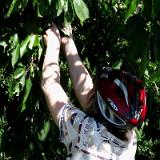 1507G 08 Fulda Radweg